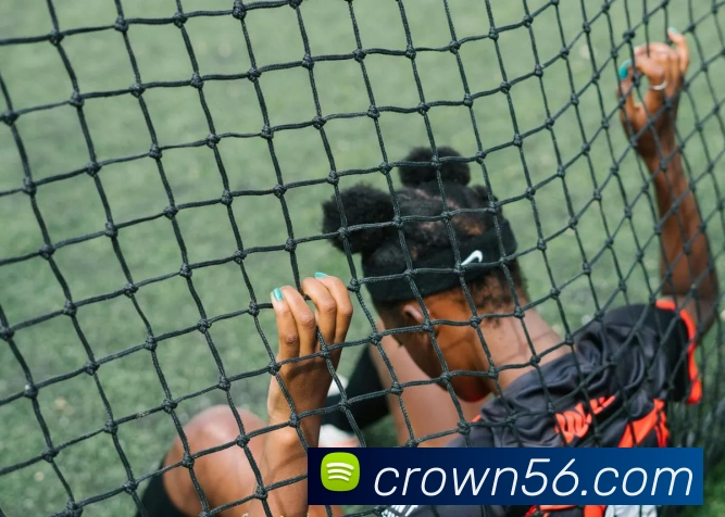皇冠crown体育平台平台生态图