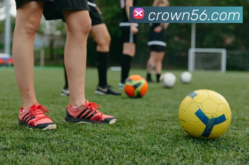 皇冠crown体育平台全站App